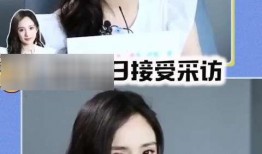 娱乐圈吃瓜在线看免费,免费在线看吃瓜盛宴，带你领略明星幕后故事